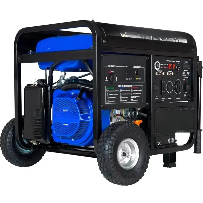 Home Cooking Gas - XP13000EH Dual-Fuel-Generator, 13000 Watt, Gas- oder